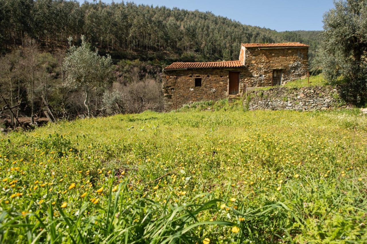 Casinha Da Aldeia Villa Castelo Branco  Buitenkant foto