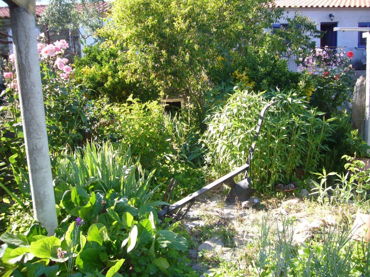 Casinha Da Aldeia Villa Castelo Branco  Buitenkant foto