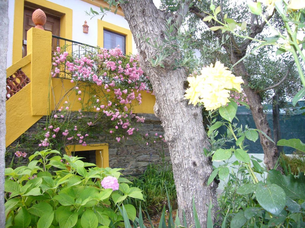 Casinha Da Aldeia Villa Castelo Branco  Buitenkant foto