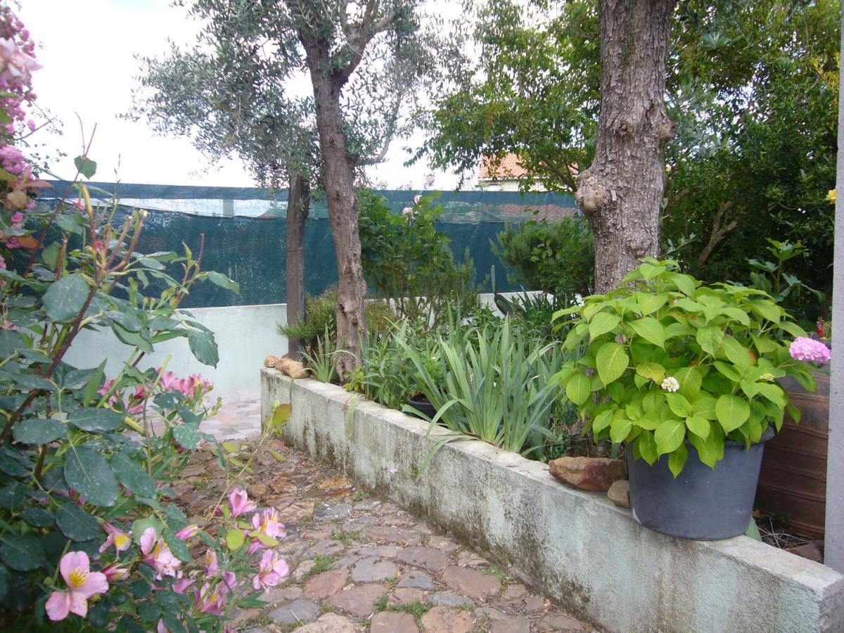 Casinha Da Aldeia Villa Castelo Branco  Buitenkant foto